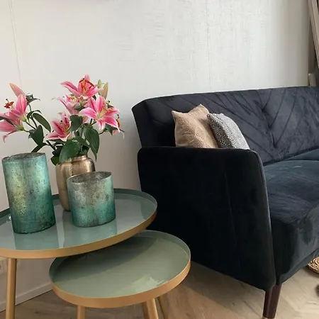 Apartment 55